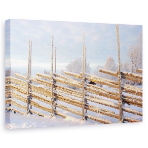 Tablou canvas - Dimineata Rece De Iarna, Rece, Zapada, Rime, Gard, 60 x 90 cm