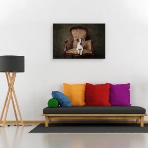Tablou canvas - Doamna Molly, Caini, Caine, Studio, Animal, 80 x 120 cm - Img 2