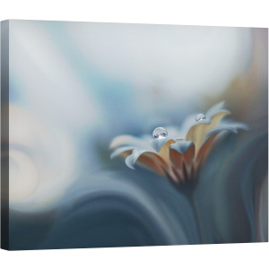 Tablou canvas - Dorul Infinit, Macro, Floare, Natura, Apa, Cadere, 60 x 75 cm