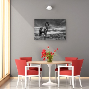 Tablou canvas - Doua De Un Fel, Islanda, Animale, Peisaj, Natura, Vant, 40 x 60 cm - Img 4