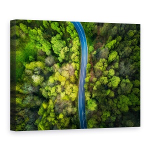 Tablou Canvas - Drumul In Padure, Peisaj, Aerial, Verde, Copaci, Padure, 75 x 100 cm