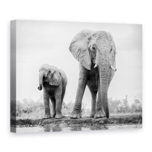Tablou canvas - Duo, Elefant, Copil, Dragut, Salbatic, Africa, 50 x 70 cm