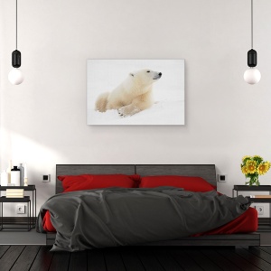Tablou canvas - E Ceva In Aer, Churchill, Manitoba, Canada, Miros, Nas, 80 x 120 cm - Img 3