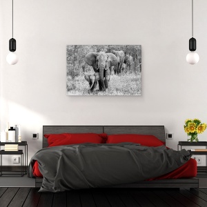 Tablou canvas - Elefamily, Elefant, Tanzania, Animale, Mamifere, Natura, 60 x 90 cm - Img 3