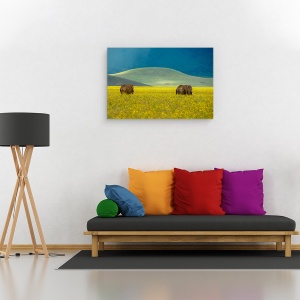 Tablou canvas - Elefant, Alb-Negru, Africa, Camp, 80 x 120 cm - Img 2