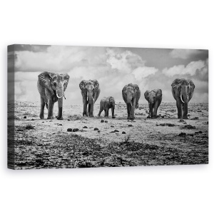 Tablou canvas elefanti familie alb-negru 50x100 cm