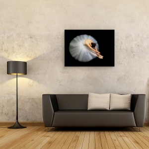 Tablou Canvas - Eleganta, Balerina, 60 x 80 cm - Img 2