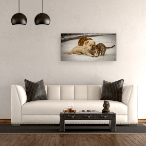 Tablou canvas - Emisii Dulci, Strada, Dragoste, Animale, Caine, 50 x 100 cm - Img 2