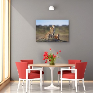 Tablou canvas - Familie de gheparzi, Nature, Prietenie, Natura, Camuflaj, 80 x 120 cm - Img 4