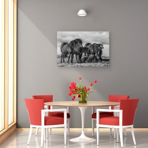 Tablou canvas - Familie Fericita, Animale, Cal Islandez, 40 x 60 cm - Img 4
