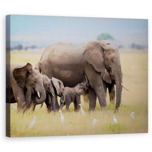 Tablou canvas - Familie Mare, Elefant, Africa, Copil, Fericit, 60 x 75 cm