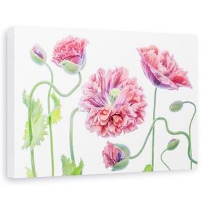 Tablou canvas - Fancy, Natura moarta, Ornamental, Roz, 80 x 120 cm