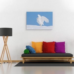 Tablou canvas - Fantoma De Iarna, Zapada, Bufnita, Zapada, Iarna, Pasare, 60 x 90 cm - Img 2