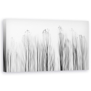 Tablou canvas - Fara Motiv, Portugalia, Alb-Negru, Copaci, Moale, 50 x 100 cm