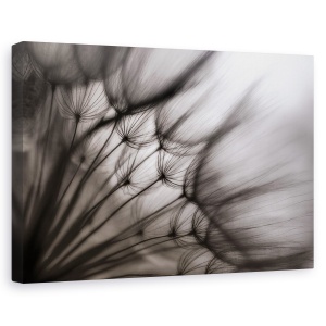 Tablou canvas - Fara titlu, Flori, Abstracte, Atmosfera, Bland, 80 x 120 cm