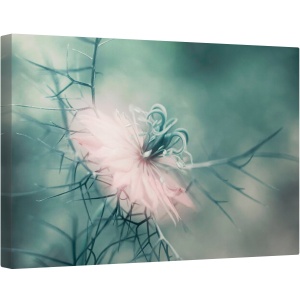 Tablou canvas - Fecioara, Floare, Macro, Roz, Moale, Gradina, 40 x 60 cm
