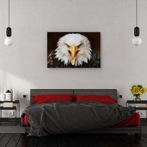 Tablou canvas - Ferocitate, Animal, Vultur, Feroce, 40 x 60 cm - Img 3