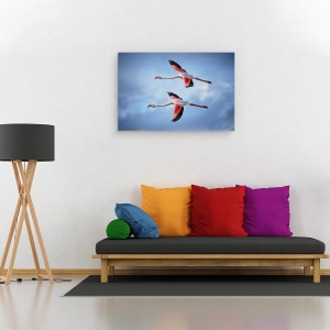 Tablou canvas - Flamingo Mai Mari, Camargue, Pasari, Natura, Salbatic, 80 x 120 cm - Img 2