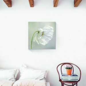Tablou decorativ floral canvas cu maci pe fundal alb 60x60 cm
