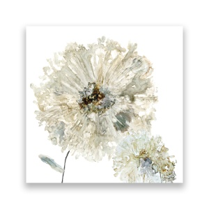 Tablou Canvas - Floral, Flori, Papadie, Alb, Pictura, 60 x 60 cm