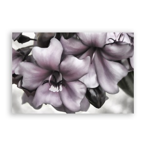 Tablou Canvas - Floral, Flori, Primavara, Pictura, 60 x 90 cm