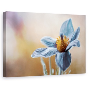 Tablou canvas - Flori albastra, Flori, 80 x 120 cm