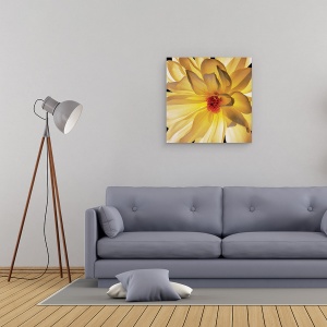 Tablou canvas - Flori, Flori, Floare alb-galbene II, 60 x 60 cm - Img 2