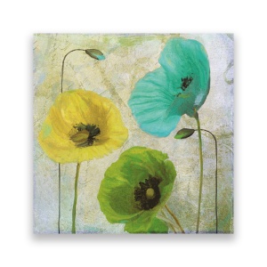 Tablou Canvas - Flori, Mac, Turcoaza, 60 x 60 cm