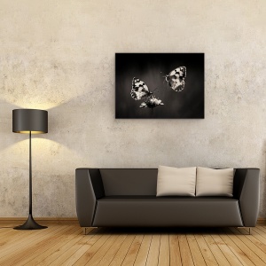 Tablou canvas - Fluture, Insecta, Natura, Floare, Fluturi, Spania, 50 x 70 cm - Img 2