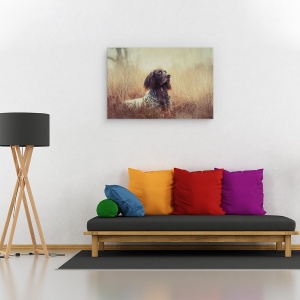 Tablou canvas - Frumoasa Aragorn, Portret, Caini, Animale, 60 x 90 cm - Img 2