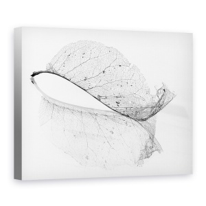 Tablou canvas - Frunza Veche, Toamna, Punct, 75 x 100 cm