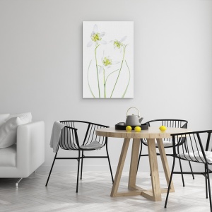 Tablou canvas - Galanthus Flore Pleno, Punct, Floare, Alb, 60 x 90 cm - Img 4