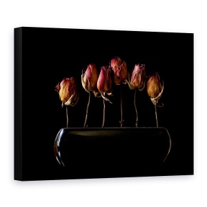 Tablou canvas - Gradina De Noapte, Uscat, Trandafiri, Flori, Intuneric, Negru, 75 x 100 cm