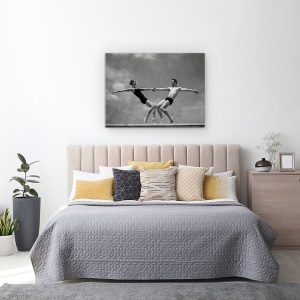 Tablou canvas - Gratie Si Putere 2.0, Danseaza, Balet, Huelva, Doua, 60 x 80 cm - Img 3
