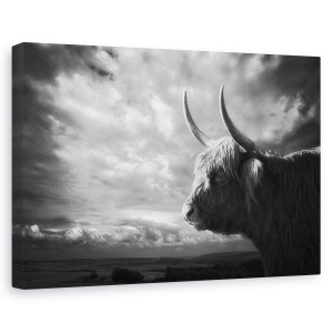 Tablou canvas - Highlands, Silueta, Bizon, Animal, Peisaj, Coarne, 60 x 90 cm