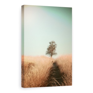 Tablou Canvas - Iarba Si Cale, Copac, Singuratic, Copac, Calea, Iarba, 80 x 120 cm