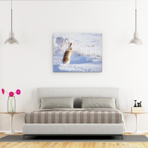 Tablou canvas - Iepurele Cu Coada Alba, Iarna, Zapada, 60 x 75 cm - Img 3