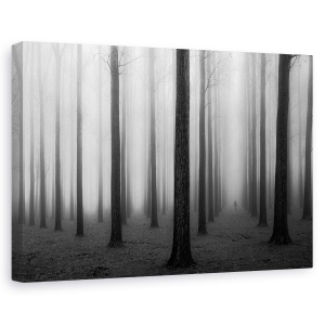 Tablou canvas - In Ceata, Peisaj, Singuratate, Padure, 60 x 90 cm