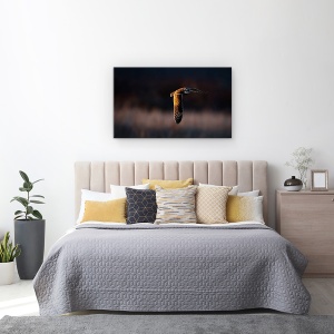 Tablou canvas - Infruntare, Pasare, Bufnita, Apus De Soare, Zbor, Salbatic, 50 x 80 cm - Img 3