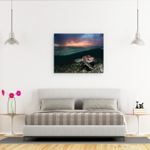 Tablou canvas - Inotand In Apus, Mare, Filipine, Testoasa De Mare, 60 x 75 cm - Img 3