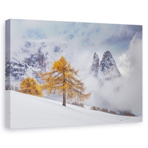 Tablou canvas - Intre Anotimpuri, Copaci, Peisaj, Ceata, Calatorie, Toamna, 40 x 60 cm