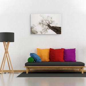 Tablou canvas - Intre Rai si Pamant, Peisaj, Copac, Perspectiva, Tonifiat, Monocolor, Inalta, 80 x 120 cm - Img 2