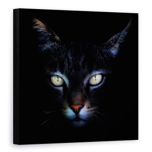 Tablou canvas - Intuneric, Pisica, Intuneric, Punct, Ochi, 60 x 60 cm