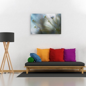 Tablou canvas - Jasmine, Floare, Flora, Floral, Iasomie, Macro, 60 x 90 cm - Img 2