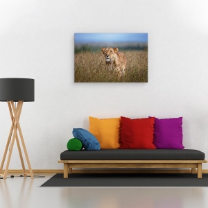 Tablou canvas - La Panda, Africa, Leu, Vanatoare, Feline, Leoaica, 40 x 60 cm - Img 2