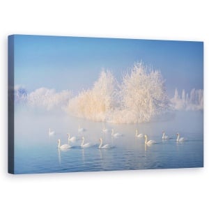 Tablou canvas - Lacul Lebedelor, Albastru, Lac, Iarna, Ceata, 50 x 80 cm