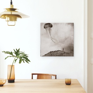 Tablou canvas - Legati, Meduze, Aplica, Lesa, Plumb, Zmee, 60 x 60 cm - Img 4