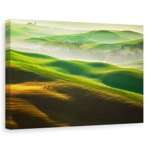 Tablou canvas - Libertate..., Peisaj, Copaci, Campuri, Dimineata, 80 x 120 cm