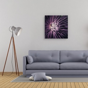 Tablou Canvas - Lumina In Interiorul, Violet, Floare, 60 x 60 cm - Img 2