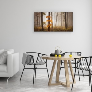 Tablou Canvas - Lumina in Noiembrie, Peisaj, Padure, Copac, Frunze, 50 x 100 cm - Img 4